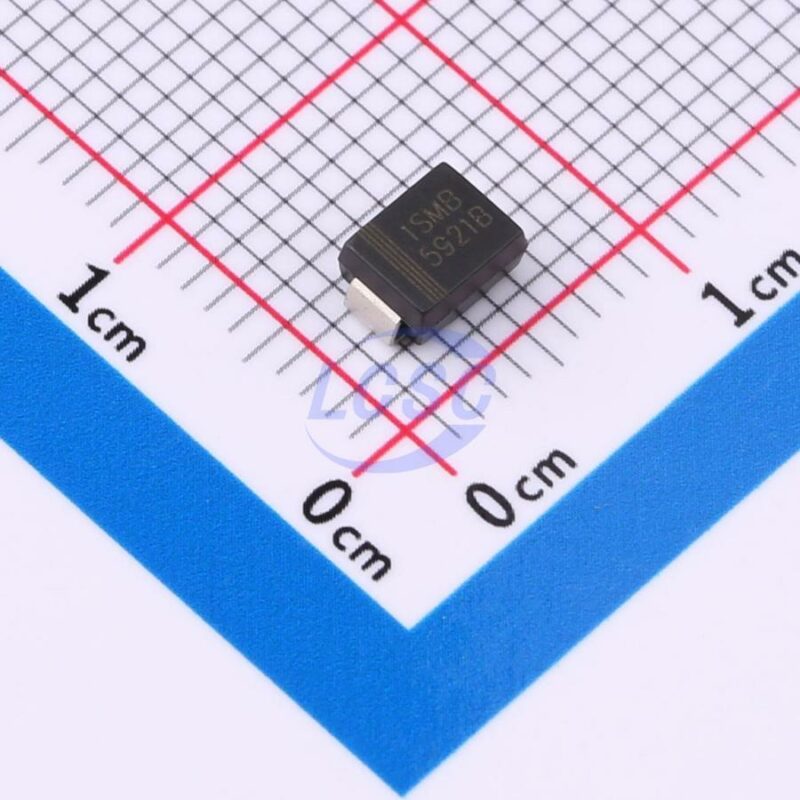 20241011 born 1smb5921b c22387580 front.jpg