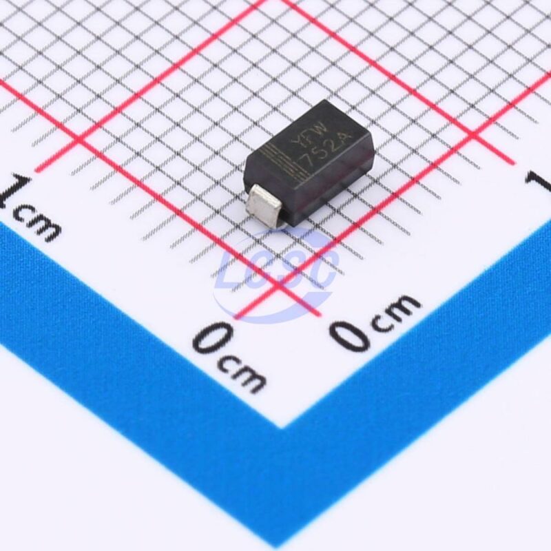 20250113 yfw 1sma4752a c19273105 front.jpg