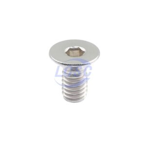 Guangzhou FAST DIN7991 M4*8 316