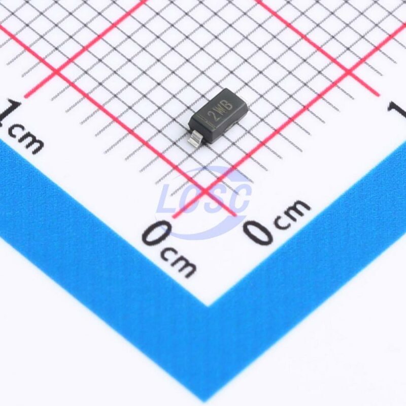 20250310 born bzt52b6v8 c22469038 front.jpg