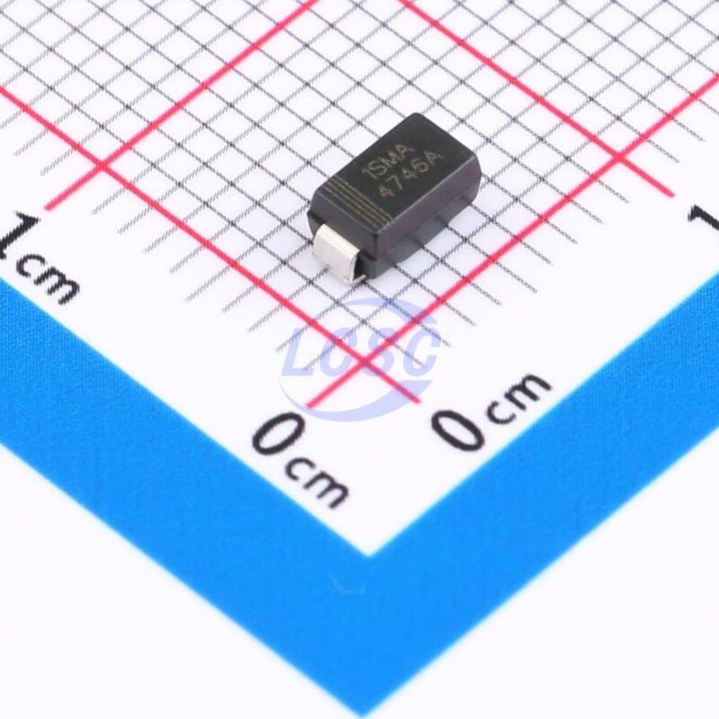 20250514 born 1sma4746a c22387572 front.jpg