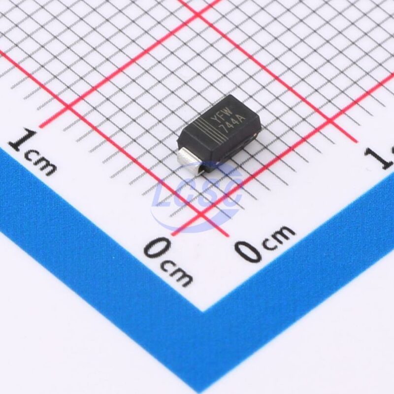 20250527 yfw 1sma4744a c7499433 front.jpg