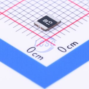 Brightking SMD1210B110TFT