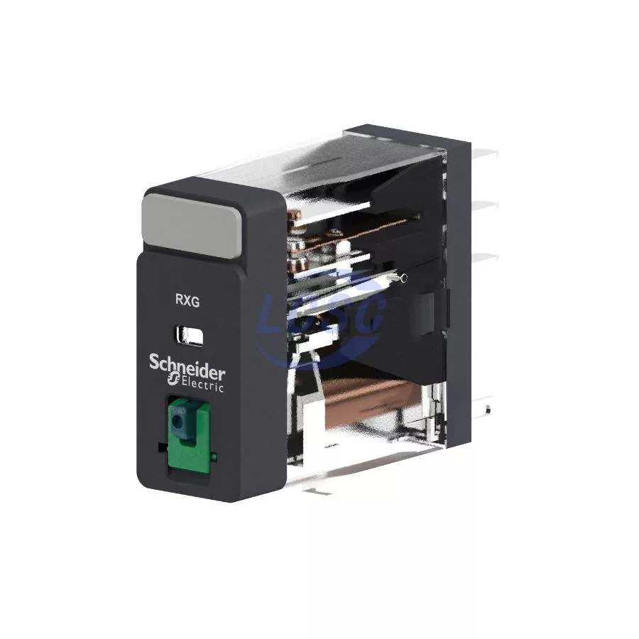 20230112 schneider rxg21rd c5208819 blank.jpg