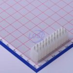 20230119 xfcn m4202v 2x11p c492534 back.jpg