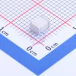 20230128 tdk b88069x6223t253 c2760386 back.jpg