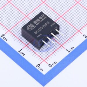 DEXU Electronics B1212S-1WR2