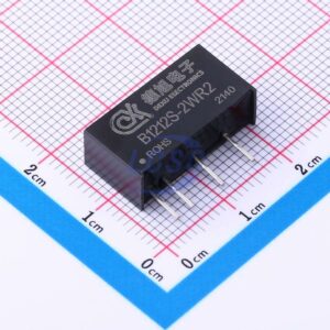 DEXU Electronics B1212S-2WR2