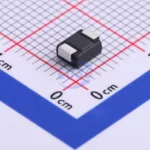 20230203 brightking p0080sa c523047 back.jpg