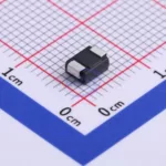 20230203 brightking p0080sc c523049 back.jpg