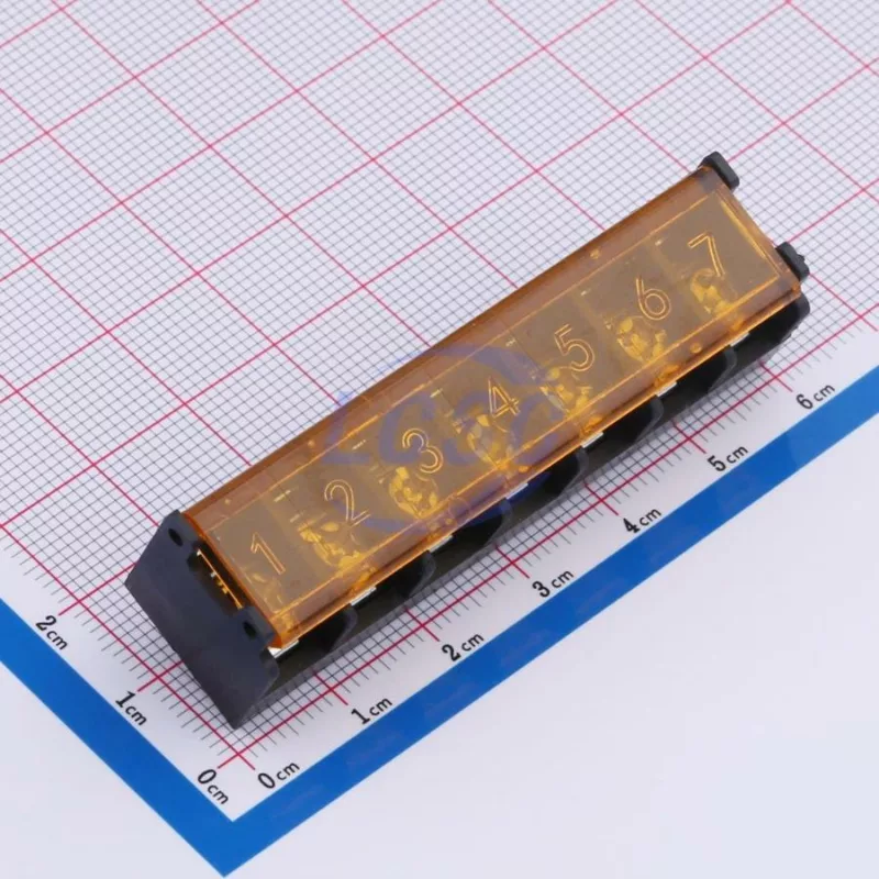 20230322 dorabo dbt50g 8 25 7p bk p c5137184 front.jpg