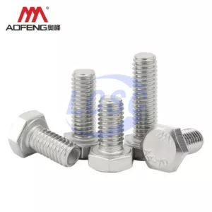 AOFENG DIN933 M22-2.5X100 316 B