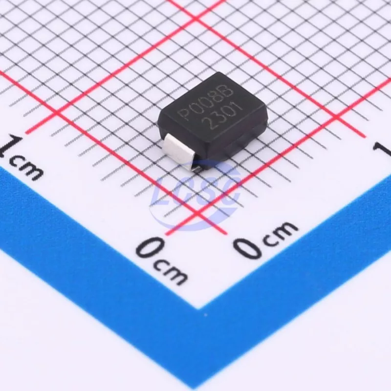 20230927 liown p0080sb c5456316 front.jpg