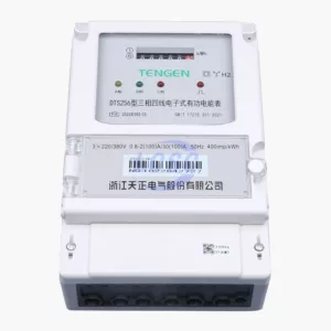 TENGEN DTS256 3*220/380V 30(100)A