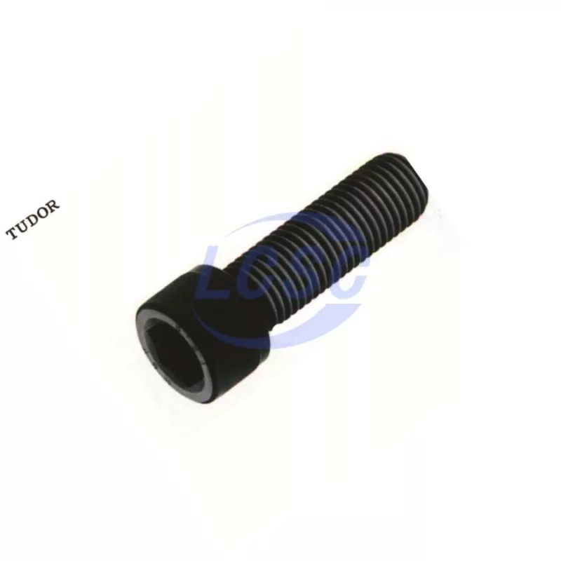 20240710 tudor tuv120065ft c7575344 back.jpg