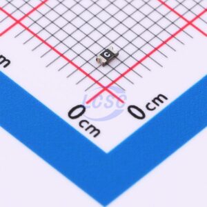 BORN SMD0603-005/48N