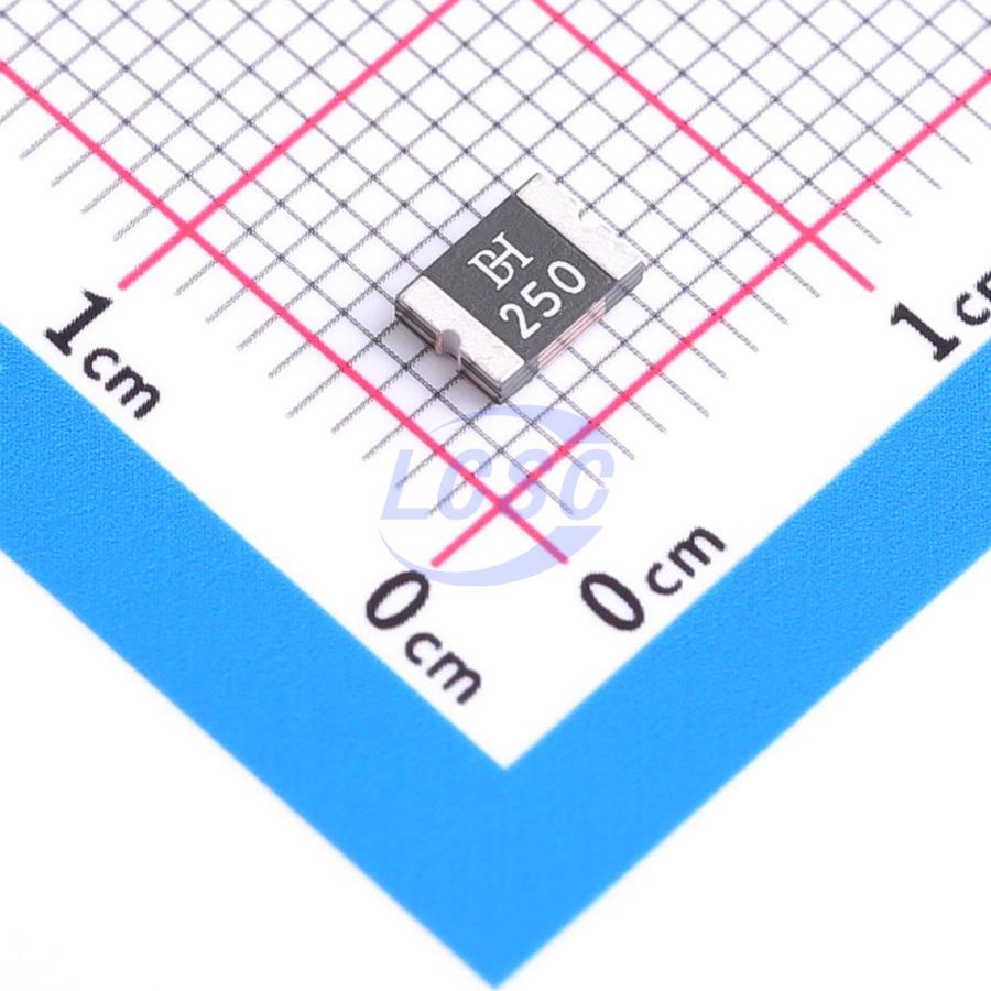 20250409 bhfuse bsmd1812 250 8v c960027 back.jpg