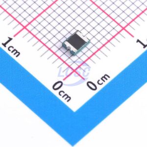 BHFUSE BSMD1210L-300-12V