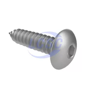 Guangzhou FAST (186)ST3*14